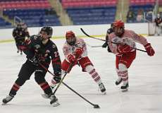 13: hockey1_0742