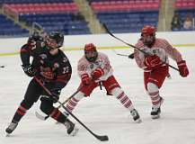 14: hockey1_0743