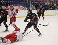 28: hockey1_0914