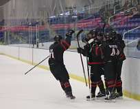 33: hockey1_0939