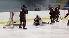 35: hockey1_0965