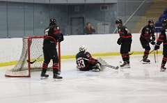 36: hockey1_0968