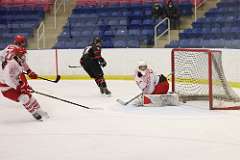 60: hockey1_1134