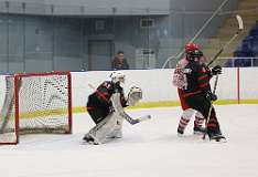 74: hockey1_1271