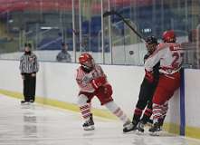 82: hockey1_1324