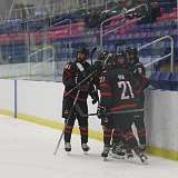 88: hockey1_1415