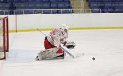 93: hockey1_1474