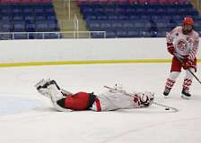 95: hockey1_1490