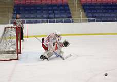 96: hockey1_1511