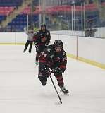 99: hockey1_1585