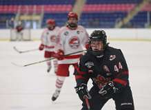 100: hockey1_1599
