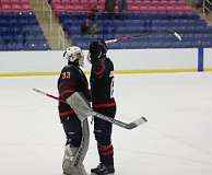 113: hockey1_1662
