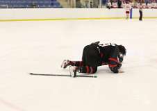 20: hockey2_0712