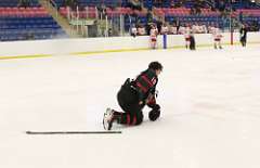 21: hockey2_0714