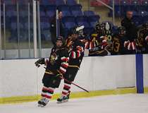 12: hockey1_0754