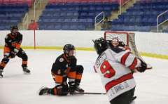 41: hockey1_1402