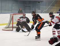 46: hockey1_1533