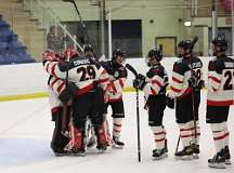 75: hockey1_2741
