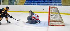 53: Game Canuck vs Hamilton Kilty Bees Nov 11 2022-096-287