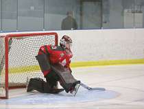 32: hockey1_2008