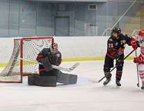 55: hockey1_2774