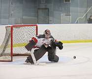 39: hockey1_1654