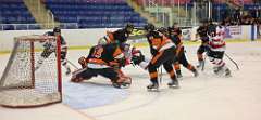 8: hockey2_0216